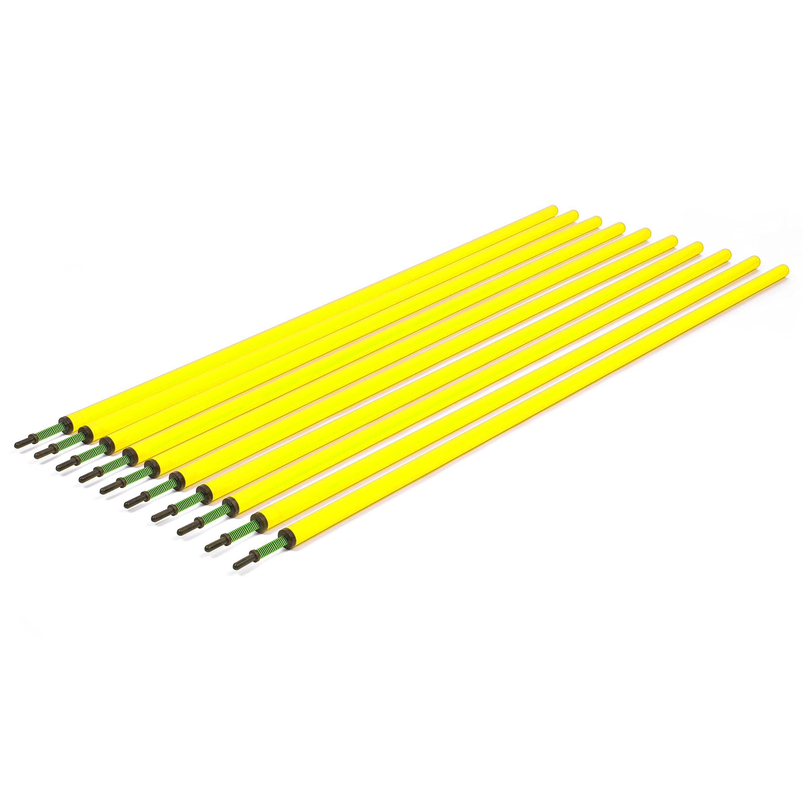 sport-thieme-slalomstangen-set-10er-slalomstangen-mit-metallspitze image 1