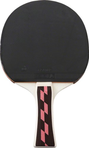 sport-thieme-tischtennisschl-ger-champion-ittf image 6