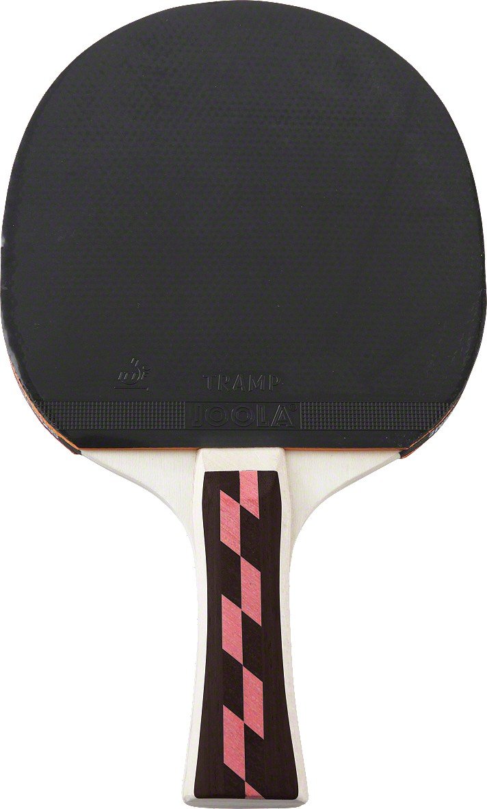 sport-thieme-tischtennisschl-ger-champion-ittf image 3