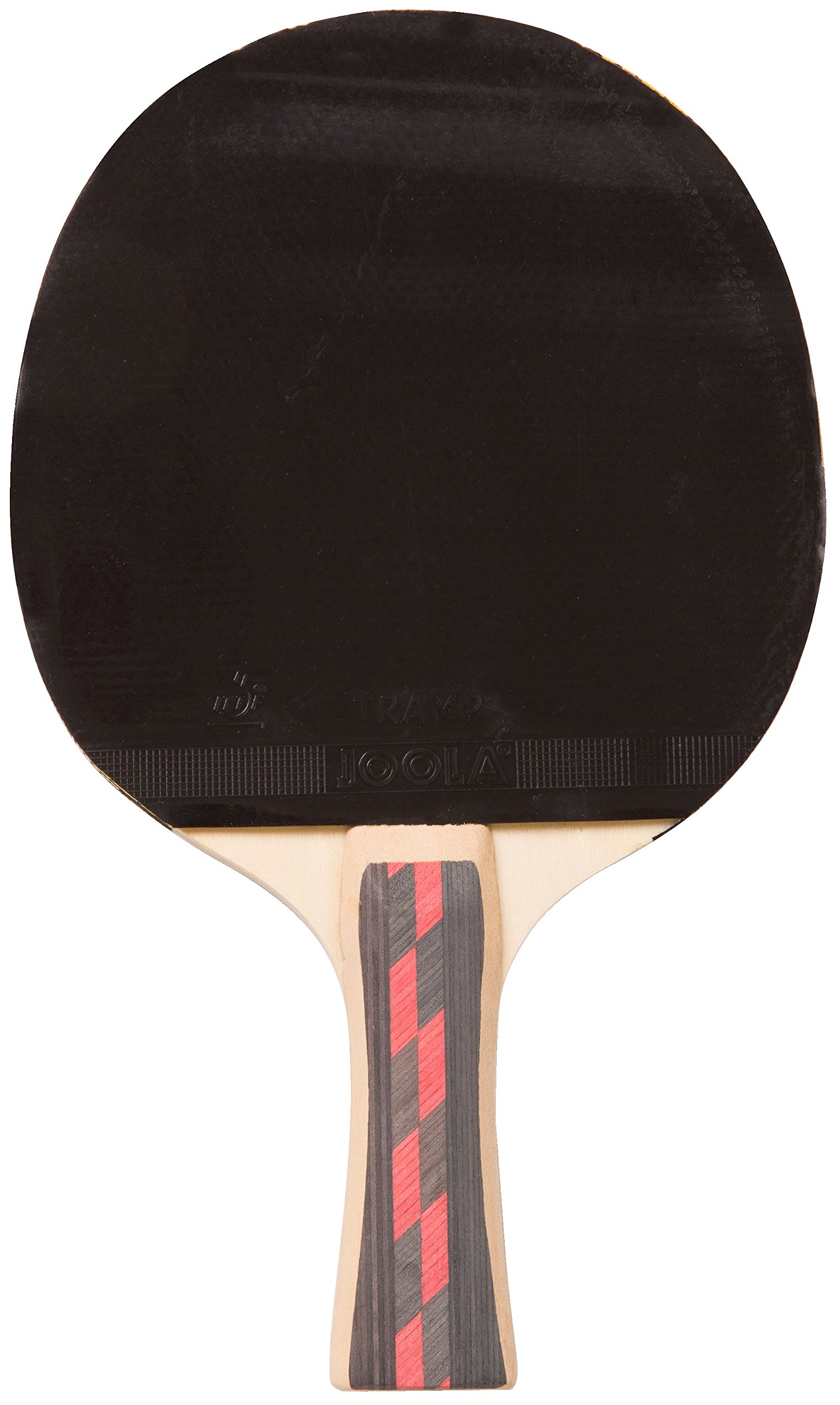 sport-thieme-tischtennisschl-ger-champion-ittf image 2