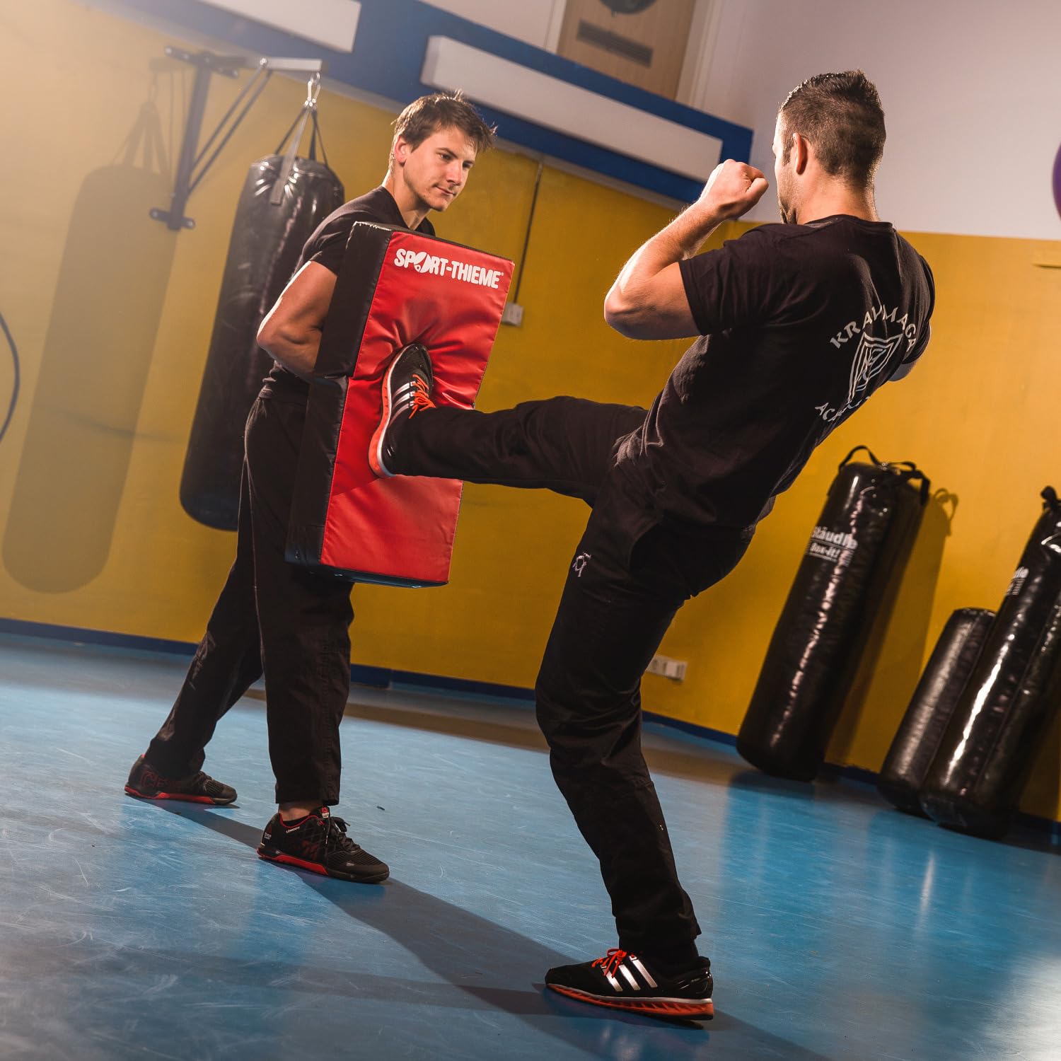 sport-thieme-schlagpolster-straight-schlagkissen-f-r-kampfsport image 6