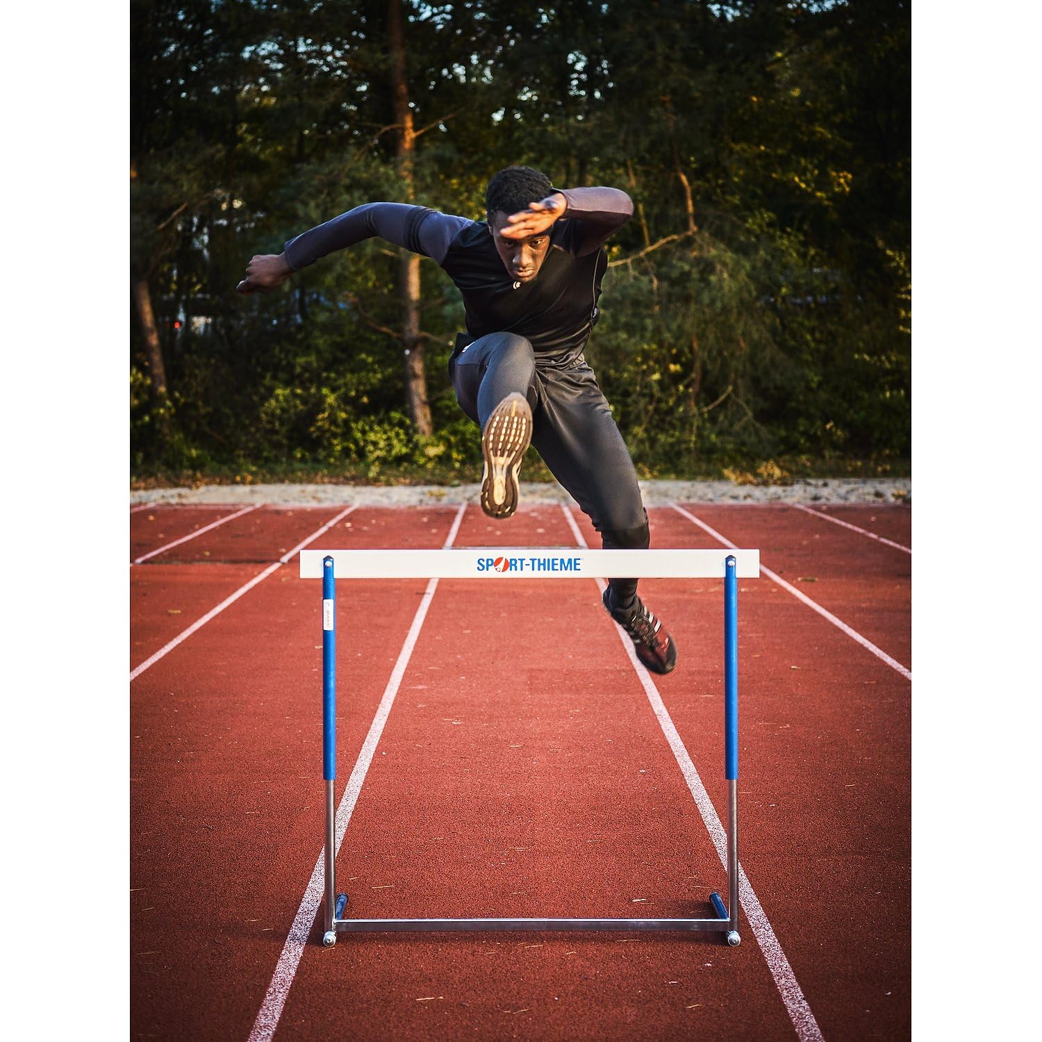 sport-thieme-trainingsh-rde-pro-aluminium-h-henverstellbar image 3
