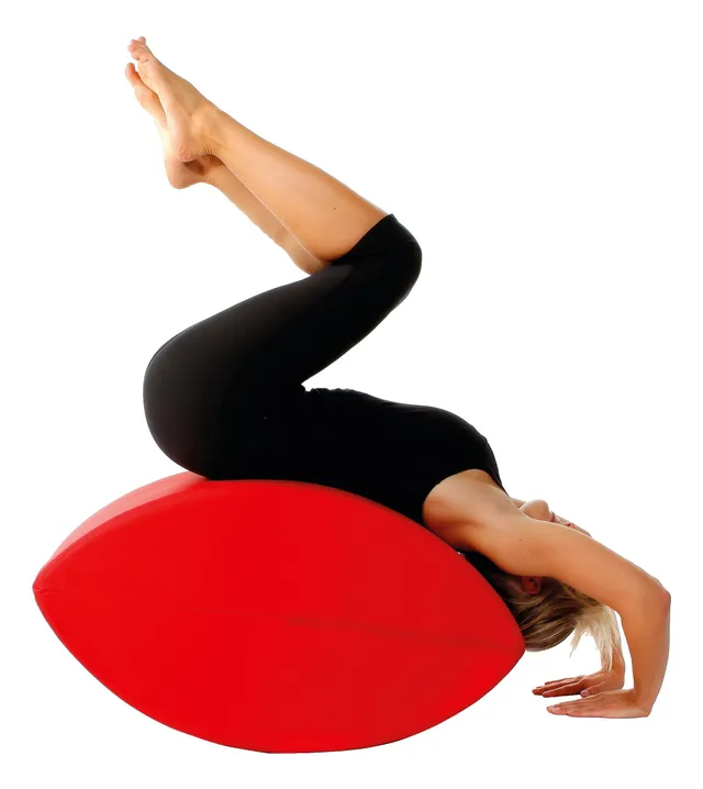 sport-thieme-fitness-schnecke-rot-ganzk-rpertrainer image 1