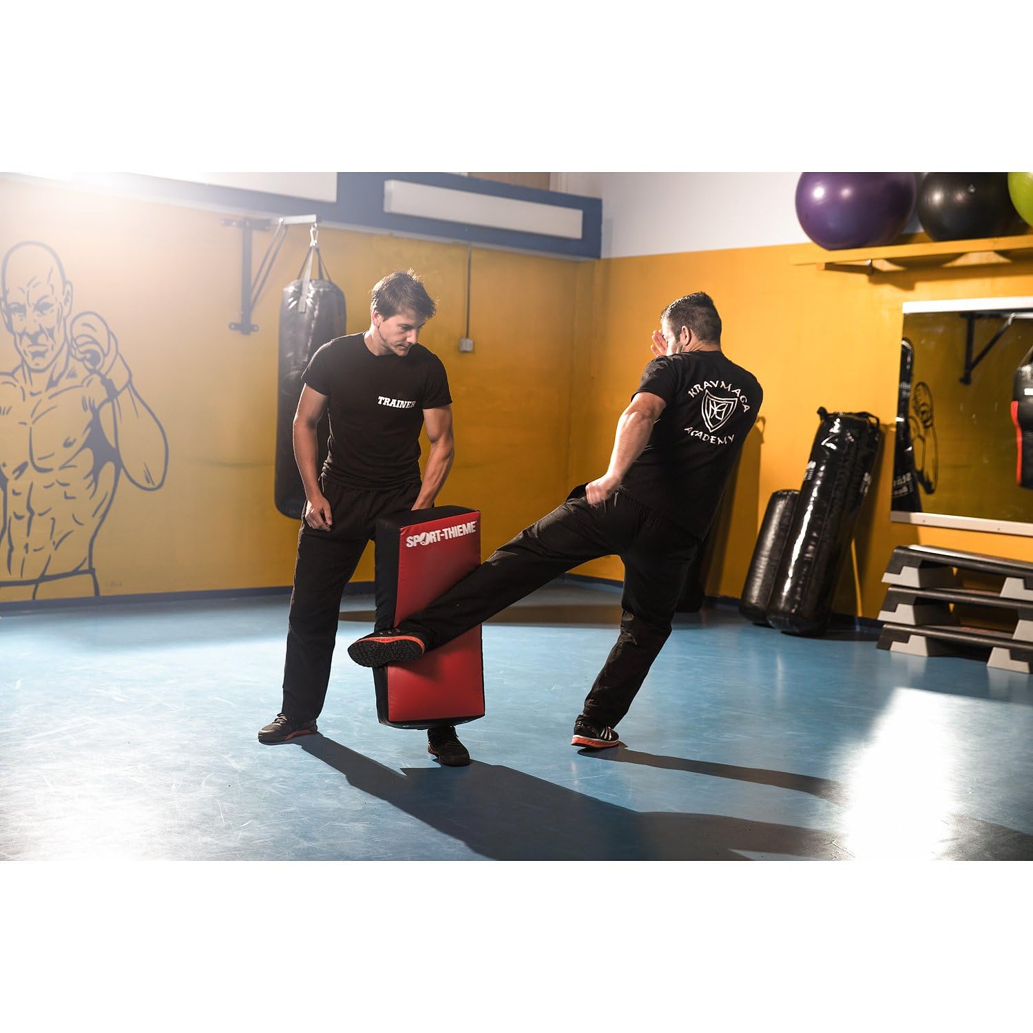 sport-thieme-schlagpolster-straight-schlagkissen-f-r-kampfsport image 8
